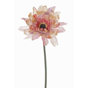 Gerbera artificiale PAMILLA, rosa antico-crema, 65cm, Ø12cm
