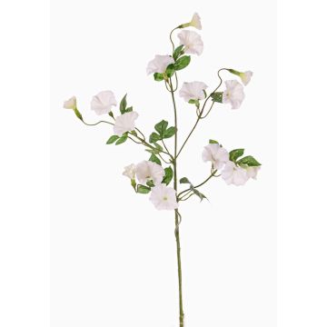 Ipomoea artificiale IORDANIS, bianca, bianco, 80cm, Ø3-5,5cm Ipomoea artificiale IORDANIS, bianca, bianco, 80cm, Ø3-5,5cm