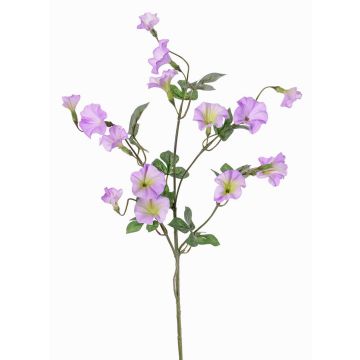 Ipomoea artificiale IORDANIS, viola, lilla-verde, 80cm, Ø3-5,5cm Ipomoea artificiale IORDANIS, viola, lilla-verde, 80cm, Ø3-5,5cm
