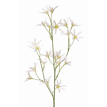 Tweedia solanoides artificiale PALLAS, bianco, 75cm, Ø5cm
