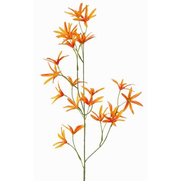 Tweedia solanoides artificiale PALLAS, arancione, 70cm, Ø5cm Tweedia solanoides artificiale PALLAS, arancione, 70cm, Ø5cm