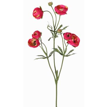 Ranuncolo finto YARIS, fucsia-verde, 65cm, Ø3-4,5cm Ranuncolo finto YARIS, fucsia-verde, 65cm, Ø3-4,5cm