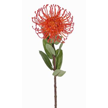 Protea artificiale BAILY, arancione, 50cm, Ø12cm Protea artificiale BAILY, arancione, 50cm, Ø12cm