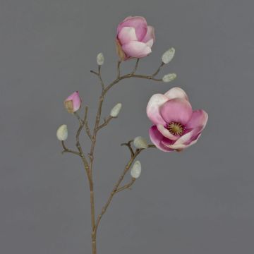 Magnolia artificiale KOSTAS, rosa-fuchsia, 55cm, Ø5-8cm