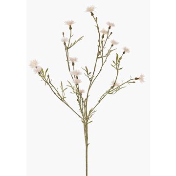 Fiordaliso artificiale ZENOBIOS, crema, 80cm