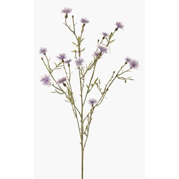 Fiordaliso artificiale ZENOBIOS, viola-blu, 80cm Fiordaliso artificiale ZENOBIOS, viola-blu, 80cm