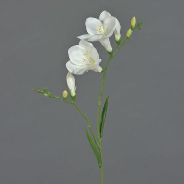 Fresia artificiale MARUSHA, bianco, 65cm, Ø7cm