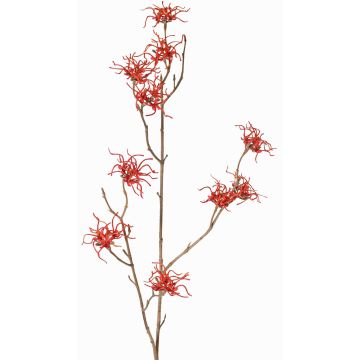Ramo artificiale di amamelide XYLA, fiori, arancione-rosso, 70cm, Ø6cm Ramo artificiale di amamelide XYLA, fiori, arancione-rosso, 70cm, Ø6cm