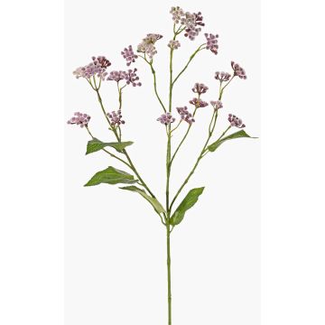 Fiore artificiale di eupatorium KORALIA, viola, 80cm, Ø4-7cm Fiore artificiale di eupatorium KORALIA, viola, 80cm, Ø4-7cm