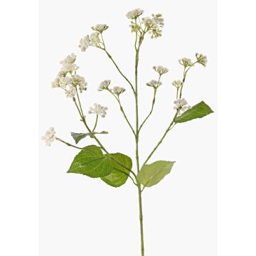 Fiore artificiale di eupatorium KORALIA, crema, 80cm, Ø4-7cm Fiore artificiale di eupatorium KORALIA, crema, 80cm, Ø4-7cm