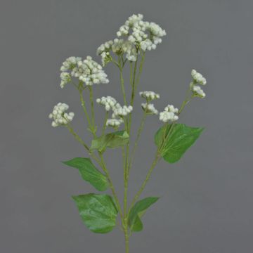 Fiore artificiale di eupatorium KORALIA, crema, 80cm