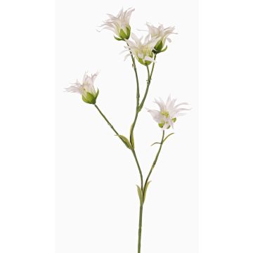 Garofano giapponese artificiale KASTALIA, crema, 65cm, Ø4-5cm Garofano giapponese artificiale KASTALIA, crema, 65cm, Ø4-5cm