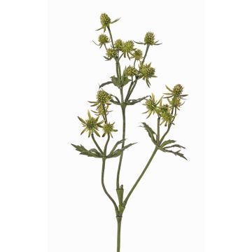 Cardo artificiale KALYPSO, verde, 65cm, Ø3-4cm Cardo artificiale KALYPSO, verde, 65cm, Ø3-4cm