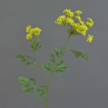 Fiore del Vescovo artificiale KALIXTUS, verde, 75cm, Ø7-13cm