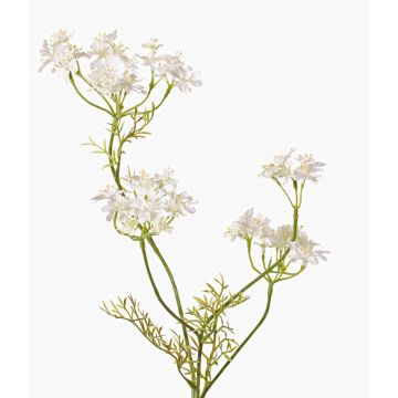 Carota selvatica artificiale KALOMIRA, bianco, 85cm, Ø6-10cm Carota selvatica artificiale KALOMIRA, bianco, 85cm, Ø6-10cm