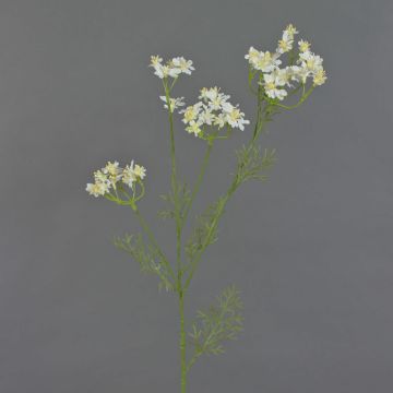Carota selvatica artificiale KALOMIRA, bianco, 85cm