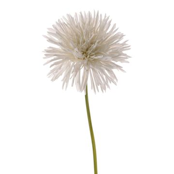 Crisantemo artificiale NANDITA, bianco, 60cm, Ø15cm Crisantemo artificiale NANDITA, bianco, 60cm, Ø15cm