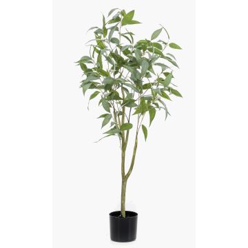 Albero di eucalipto artificiale ILONKA, tronco artificiale, verde, 115cm Albero di eucalipto artificiale ILONKA, tronco artificiale, verde, 115cm