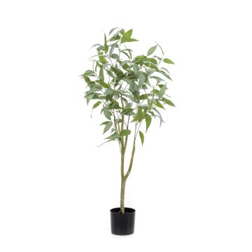 Albero di eucalipto artificiale ILONKA, tronco artificiale, verde, 115cm Albero di eucalipto artificiale ILONKA, tronco artificiale, verde, 115cm