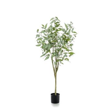 Albero di eucalipto artificiale ILONKA, tronco artificiale, verde, 150cm Albero di eucalipto artificiale ILONKA, tronco artificiale, verde, 150cm
