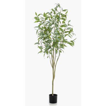 Albero di eucalipto artificiale ILONKA, tronco artificiale, verde, 195cm Albero di eucalipto artificiale ILONKA, tronco artificiale, verde, 195cm
