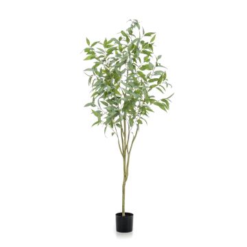 Albero di eucalipto artificiale ILONKA, tronco artificiale, verde, 195cm Albero di eucalipto artificiale ILONKA, tronco artificiale, verde, 195cm