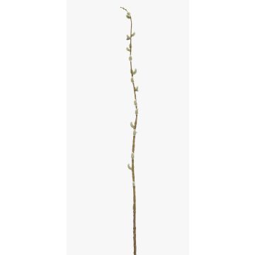 Ramo di salice decorativo DAFINO con fiori, bianco, 105cm