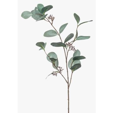 Ramo di eucalipto finto MAXEN con frutti, verde-grigio, 75cm
