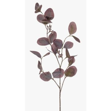 Ramo di eucalipto finto MAXEN con frutti, viola-grigio, 75cm