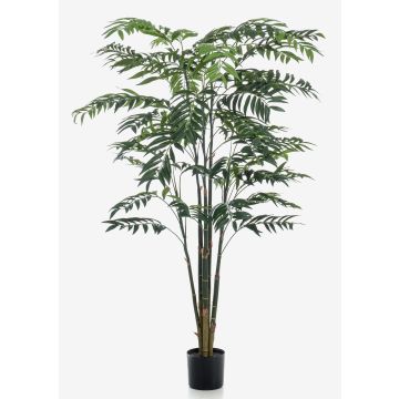 Palma di bambù decorativa MERIEL, 195cm Palma di bambù decorativa MERIEL, 195cm