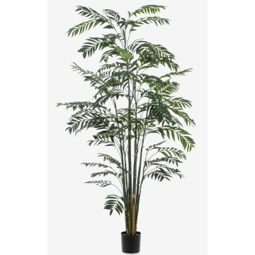 Palma di bambù decorativa MERIEL, 245cm Palma di bambù decorativa MERIEL, 245cm