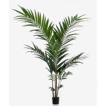 Palma kentia artificiale NESTA, 150cm