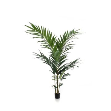 Palma kentia artificiale NESTA, 150cm