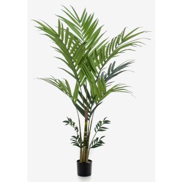 Palma kentia artificiale NESTA, 180cm
