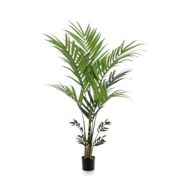 Palma kentia artificiale NESTA, 180cm