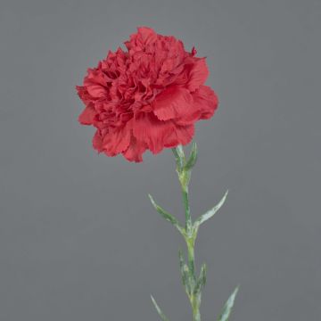 Garofano artificiale NIRUSHA, rosso, 65cm