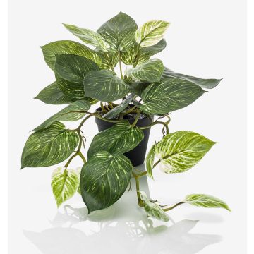 Pothos d'argento artificiale TREVA, verde-bianco, 55cm