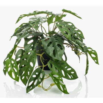 Filodendro decorativo Monstera Deliciosa TREVYN, 55cm