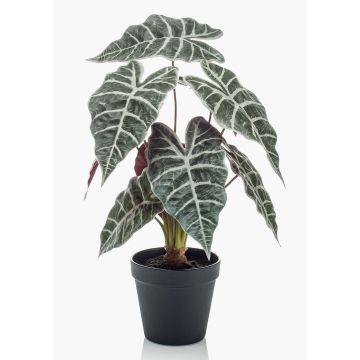 Alocasia Sanderiana artificiale UTHER, verde-bianco, 40cm