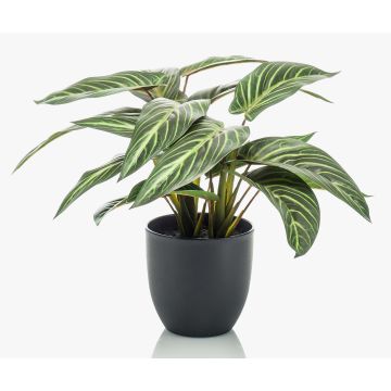 Calathea Zebrina artificiale VAIDA in vaso decorativo, verde-bianco, 40cm