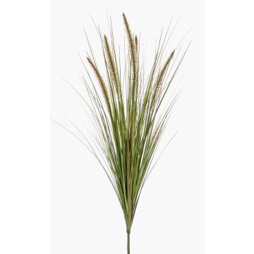 Erba di pennisetum artificiale YWAIN, pannocchie, stelo, beige-verde, 70cm
