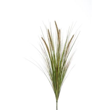 Erba di pennisetum artificiale YWAIN, pannocchie, stelo, beige-verde, 70cm