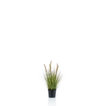 Erba di pennisetum artificiale YWAIN con pannocchie, beige-verde, 45cm
