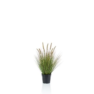 Erba di pennisetum artificiale YWAIN con pannocchie, beige-verde, 60cm Erba di pennisetum artificiale YWAIN con pannocchie, beige-verde, 60cm