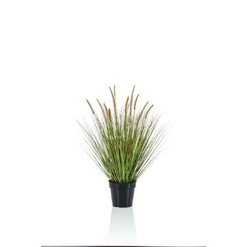 Erba di pennisetum artificiale YWAIN con pannocchie, beige-verde, 70cm