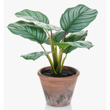 Calathea Orbifolia artificiale ESMIE in vaso di terracotta, verde-bianco, 30cm