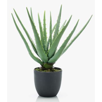Aloe Vera artificiale EVELIO in vaso decorativo, 35cm Aloe Vera artificiale EVELIO in vaso decorativo, 35cm
