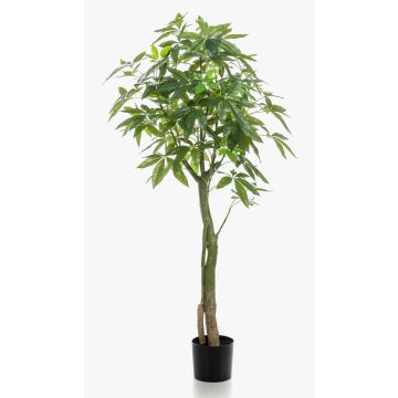 Pachira artificiale HARUKI, tronchi artificiali, 150cm