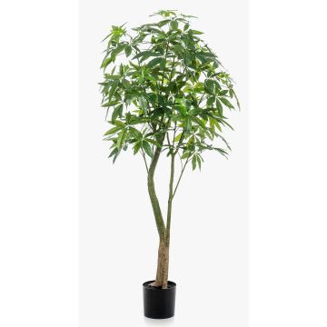 Pachira artificiale HARUKI, tronchi artificiali, 180cm