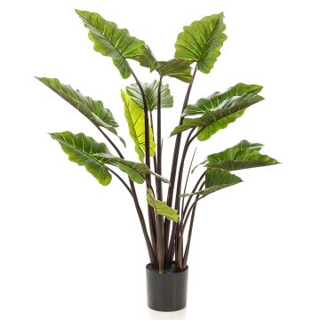 Orecchie di elefante artificiale KANAYE, verde, 130cm